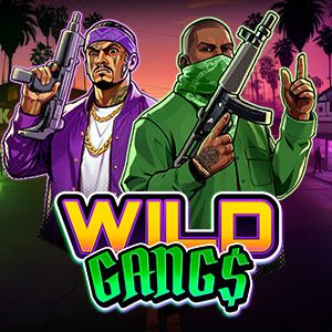Wild Gangs