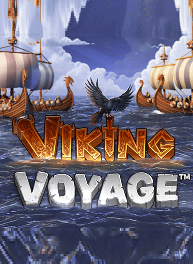 Viking Voyage