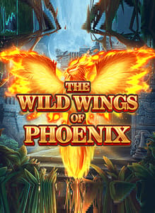 The Wild Wings of Phoenix