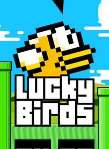 Lucky Birds
