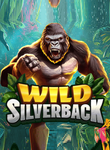 Wild Silverback